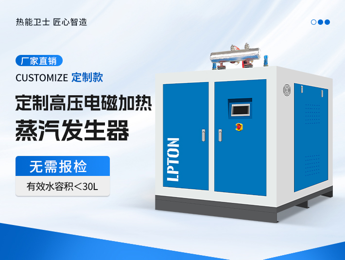 定制高壓電磁加熱蒸汽發生器